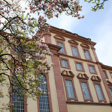 Progam management of the department of law